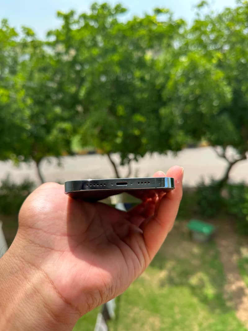 Apple iPhone 13 Pro Max 2