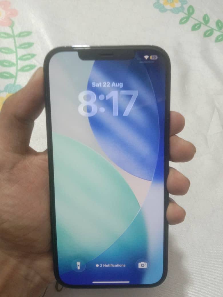 Apple iPhone 12 Pro Max 1