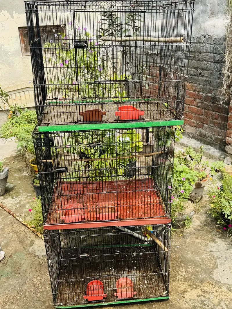 1.5/2 cage available — photo 2