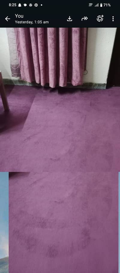 Urgent sale purple colour