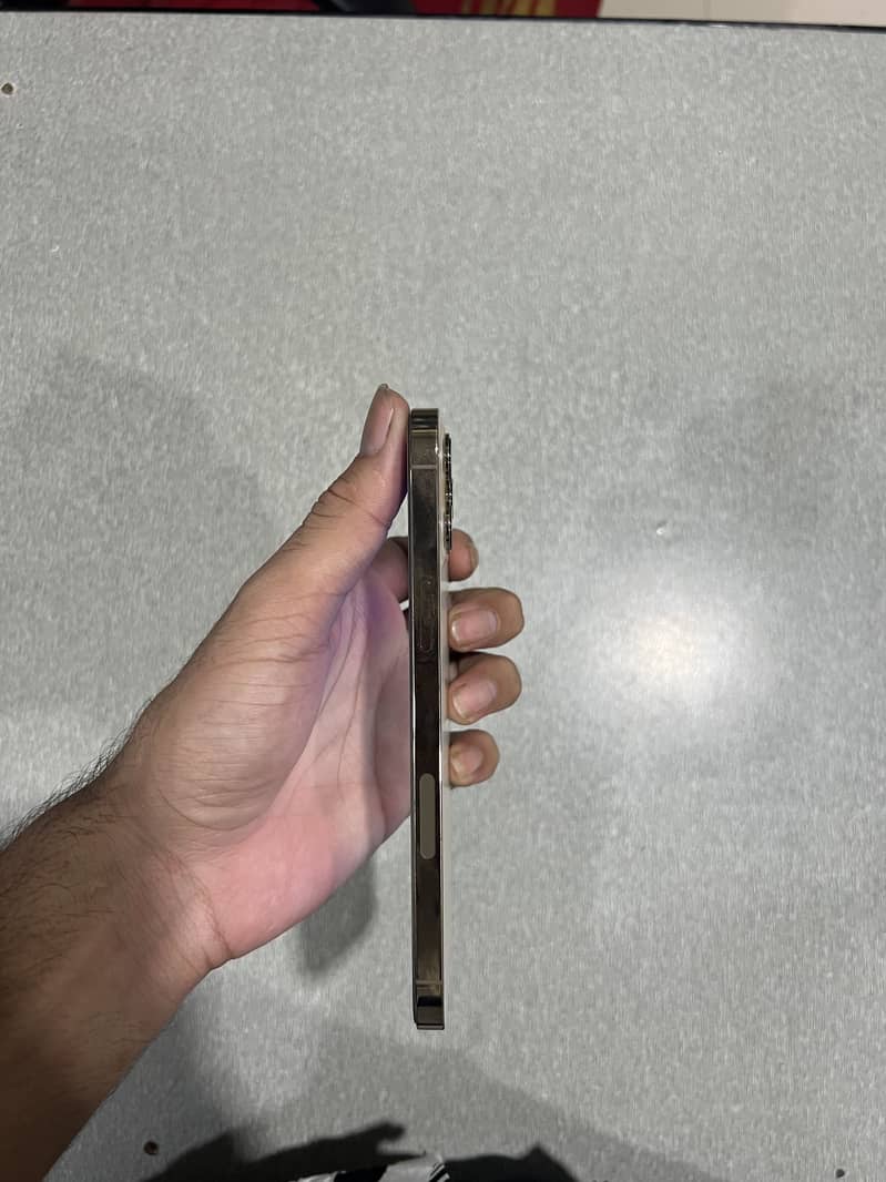 Apple iPhone 12 Pro Max 1