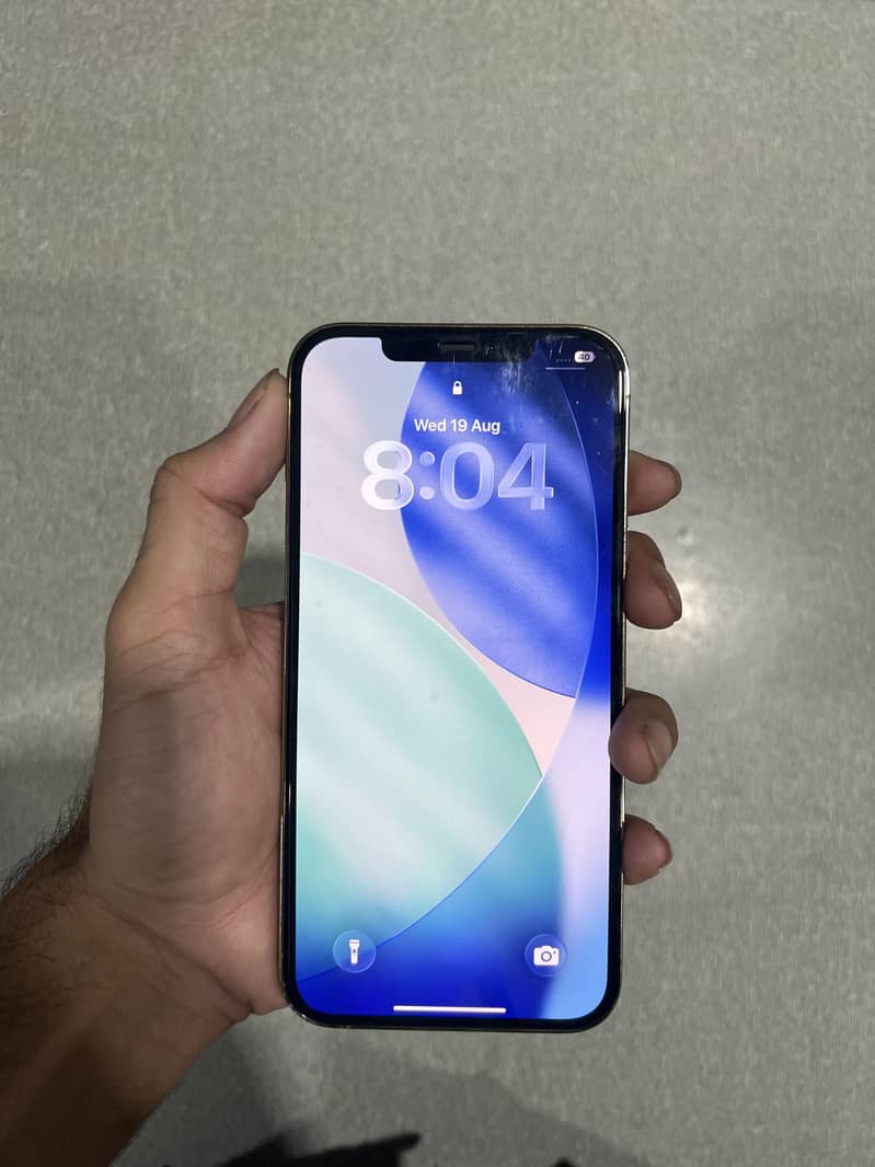 Apple iPhone 12 Pro Max 2