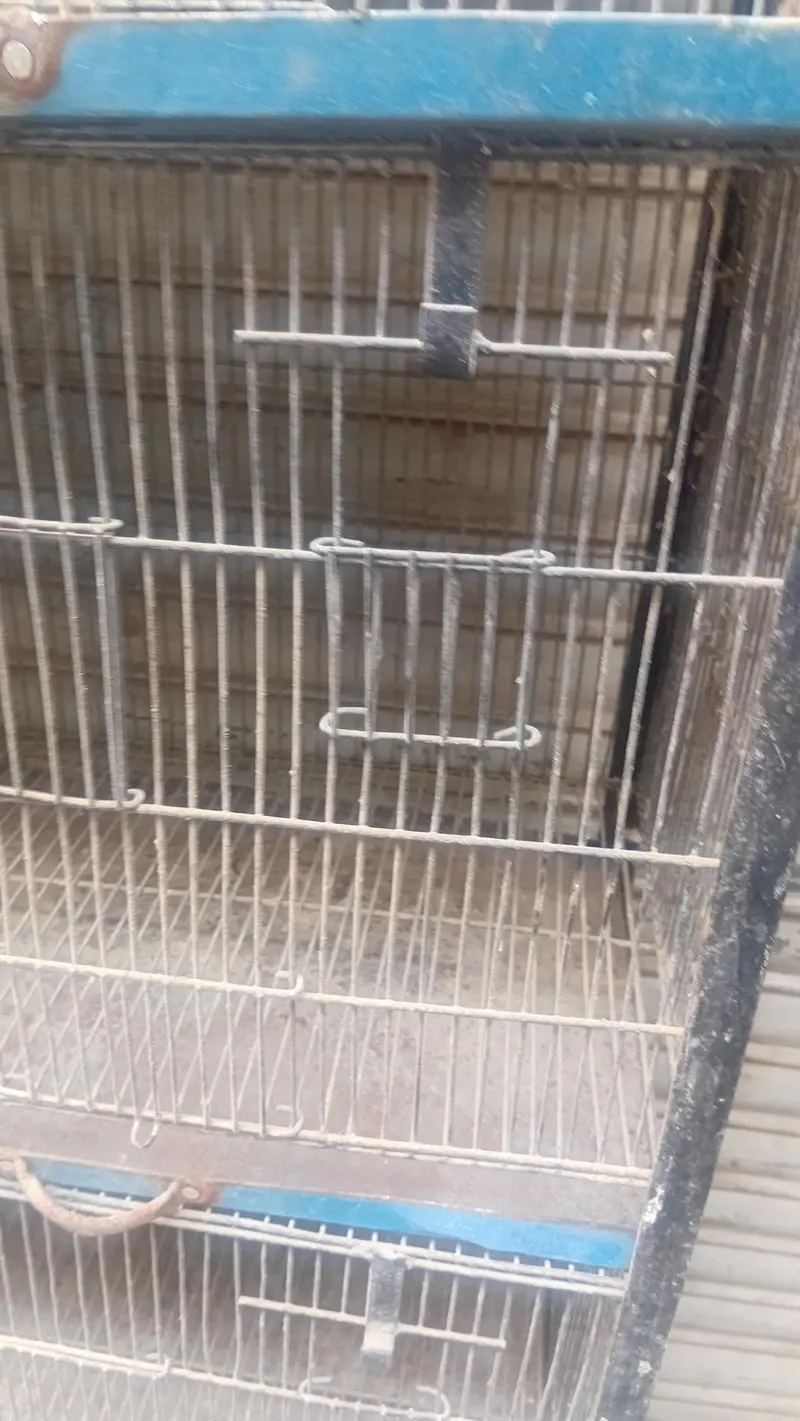 Ten portion bird cage — photo 2