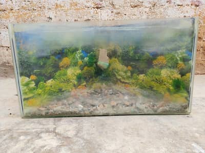 custom made side aquarium with magnificent glass quality!