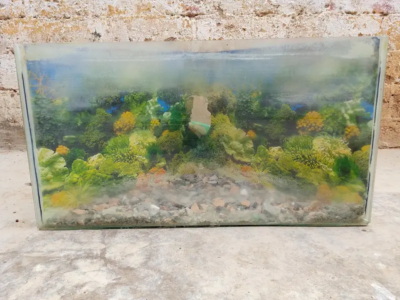 custom made side aquarium with magnificent glass quality! — photo 2