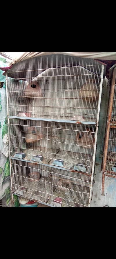 I am selling 5 portion cage in good condition