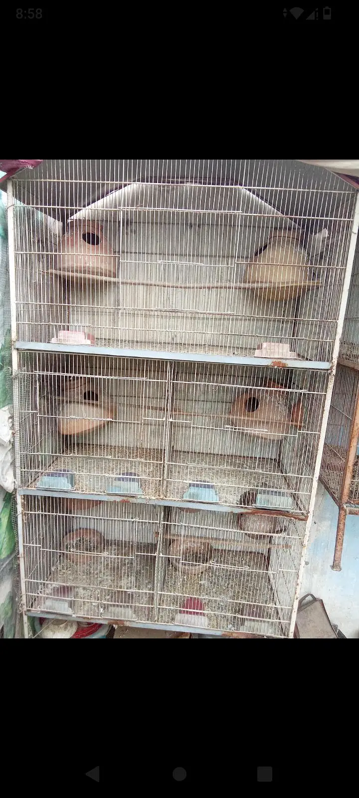 I am selling 5 portion cage in good condition — photo 2