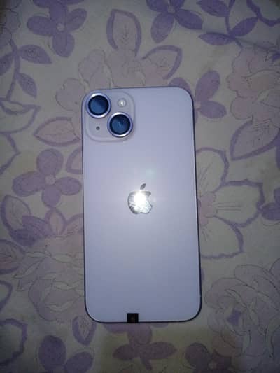 iPhone 14 Purple