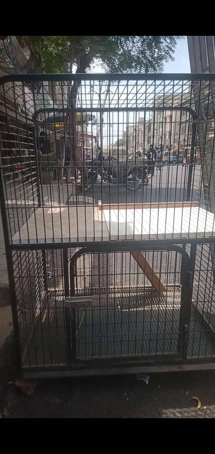 cat cage 1