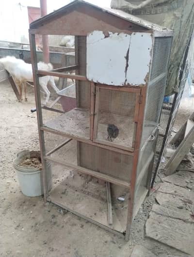pinjra hen cage and bird cage