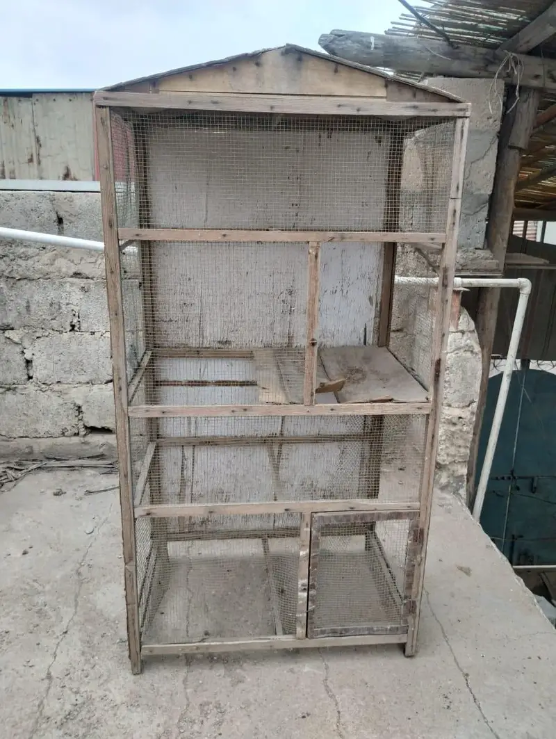 pinjra hen cage and bird cage — photo 4