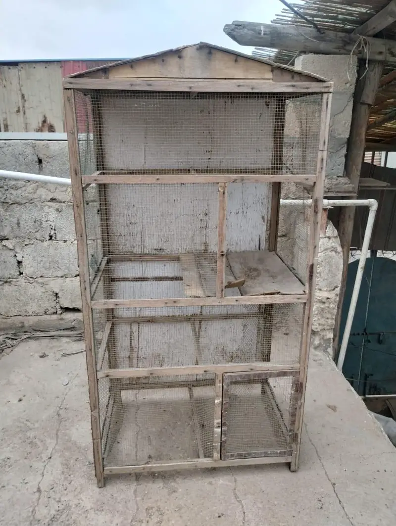 pinjra hen cage and bird cage — photo 6