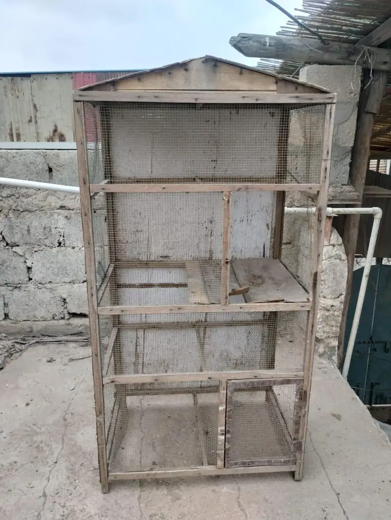 pinjra hen cage and bird cage — photo 7