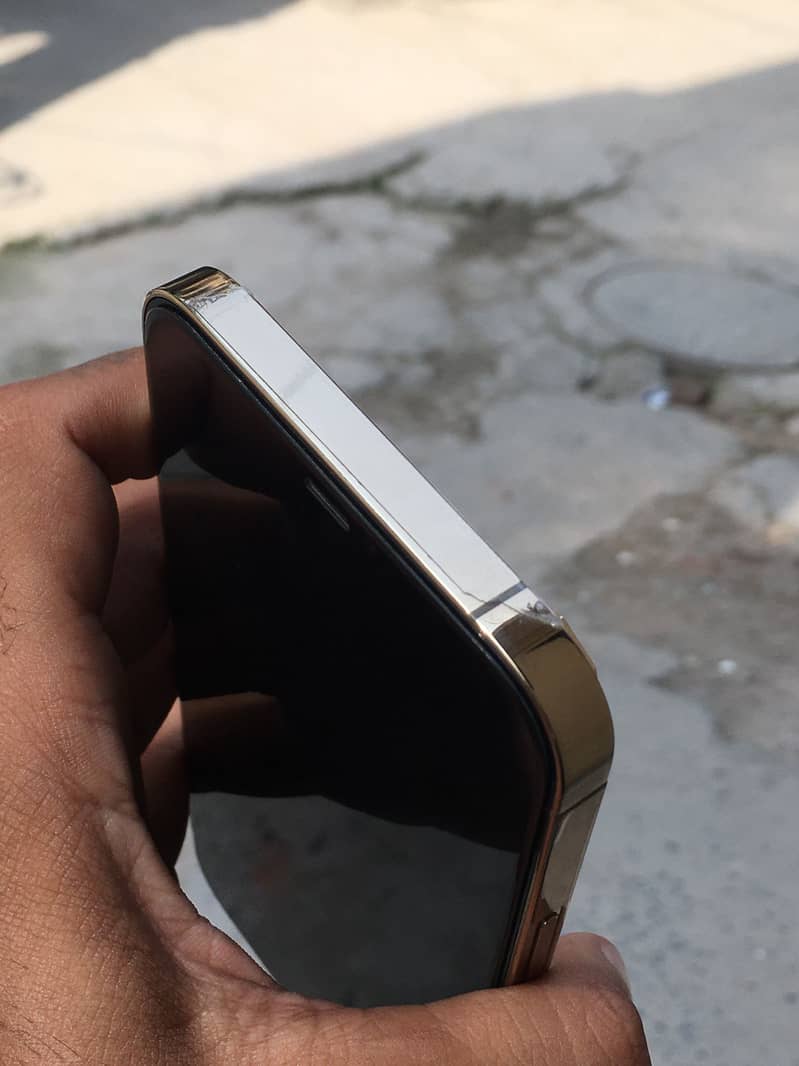 Apple iPhone 12 Pro Max 2
