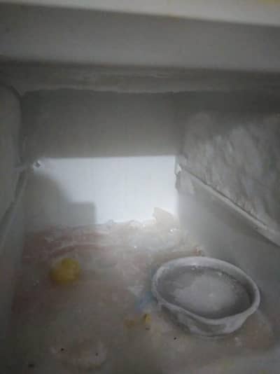 haier small fridge