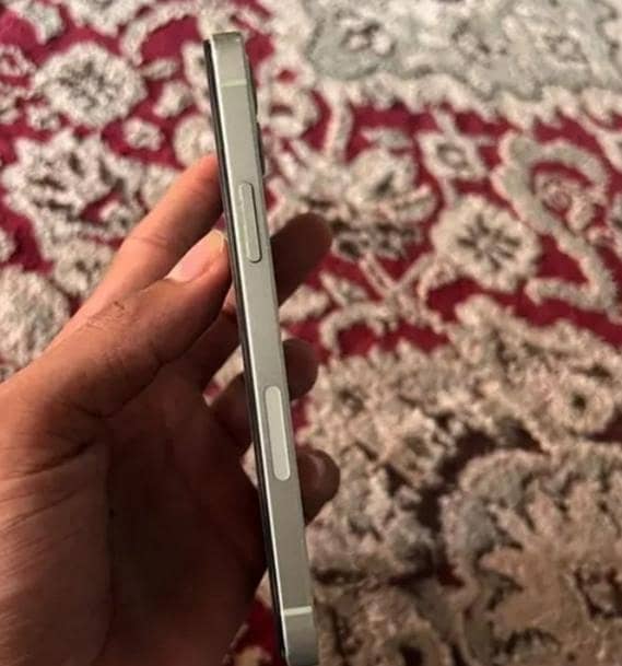 Apple iPhone 12 1