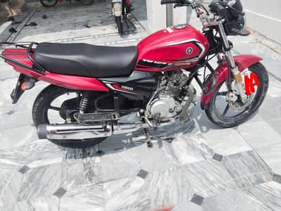 yahama ybz Dx 2024/25