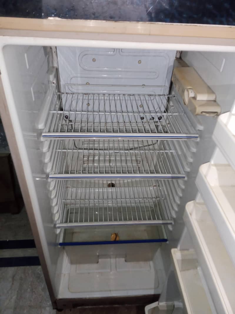 frige 1
