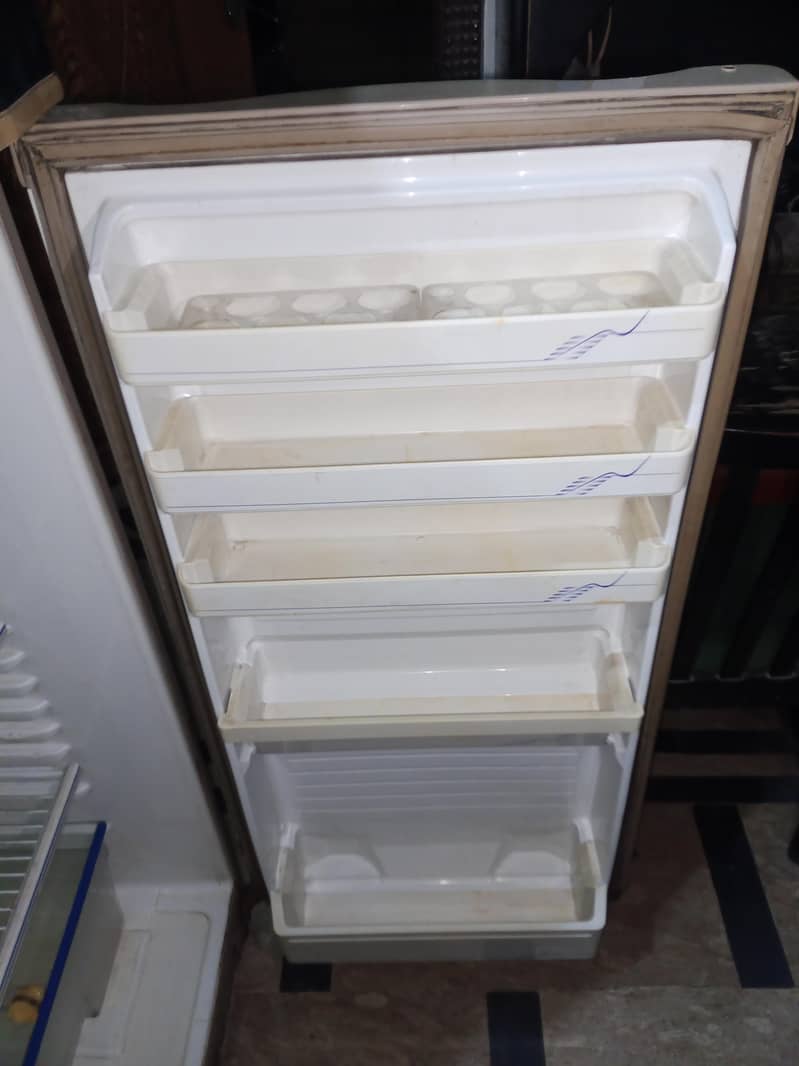 frige 2