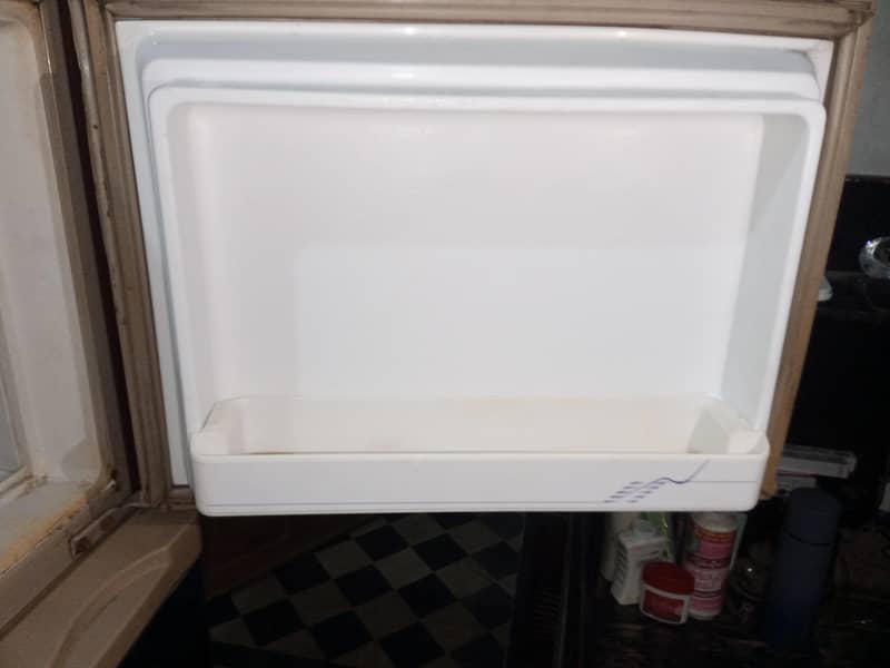 frige 4