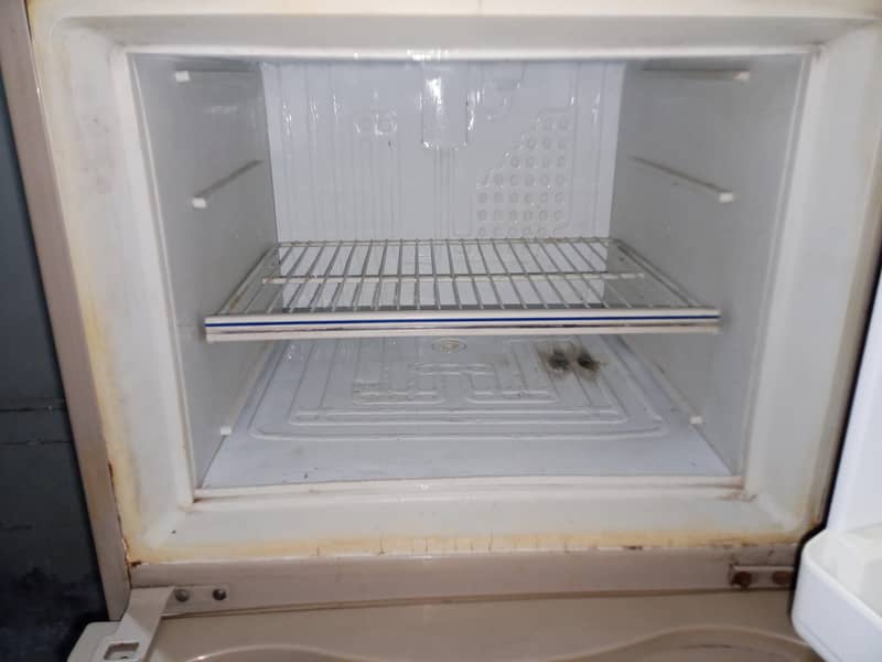 frige 5