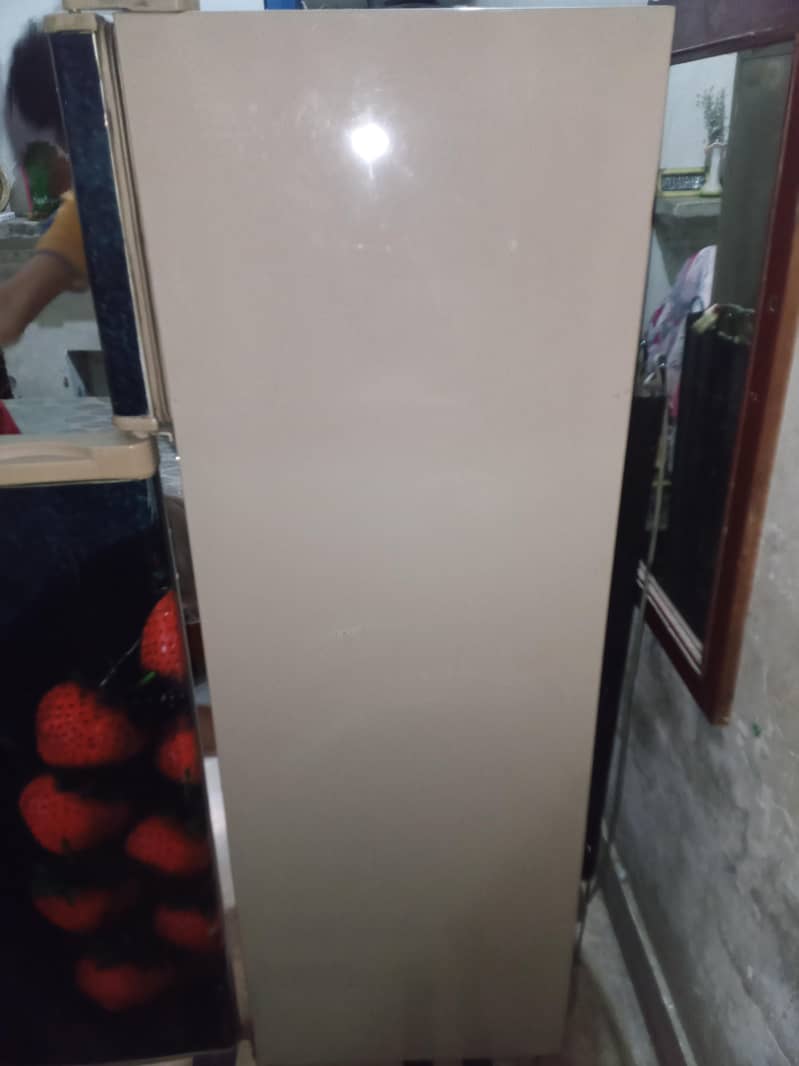 frige 6