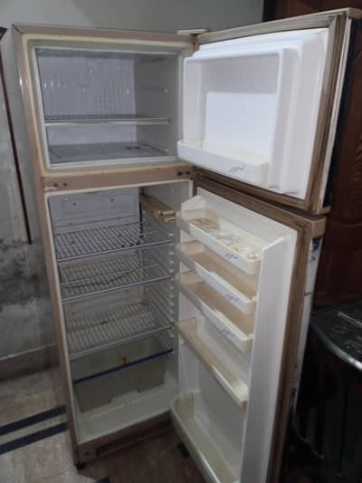 frige