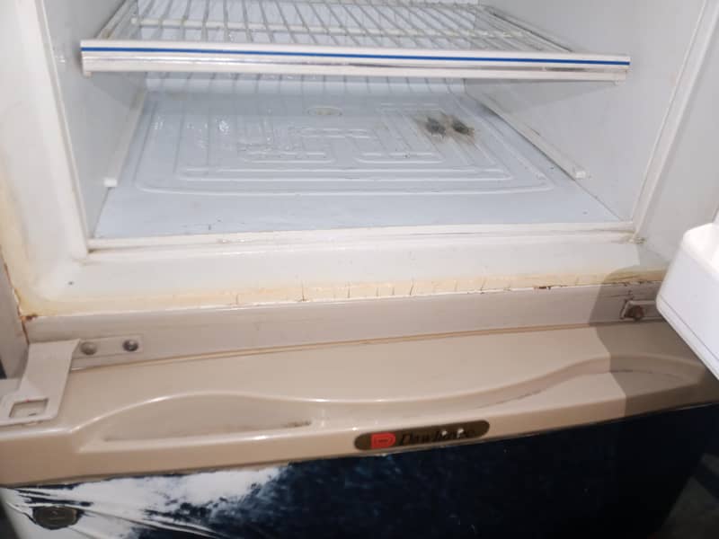frige 15
