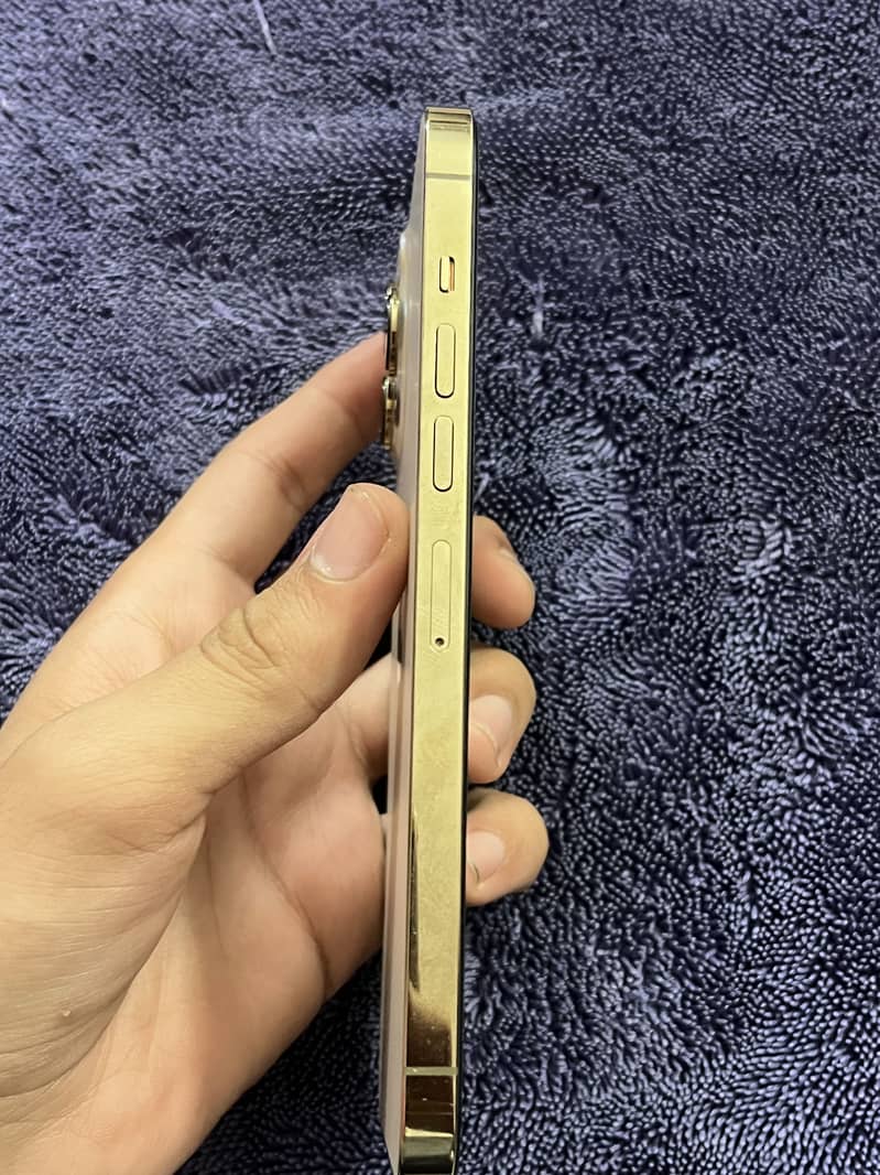Apple iPhone 13 Pro Max 8