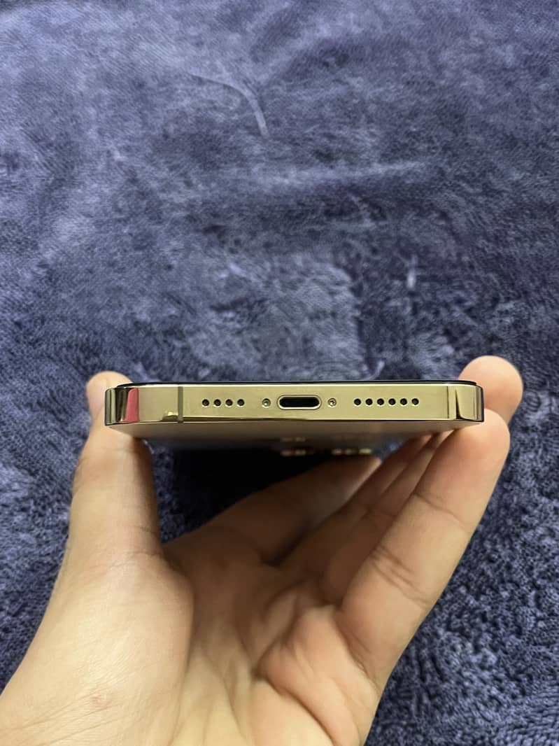 Apple iPhone 13 Pro Max 9