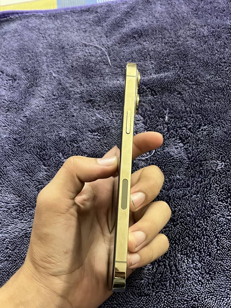 Apple iPhone 13 Pro Max 10