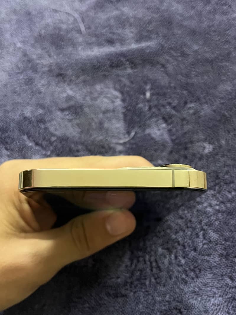 Apple iPhone 13 Pro Max 11
