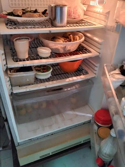 Pel FRIDGE