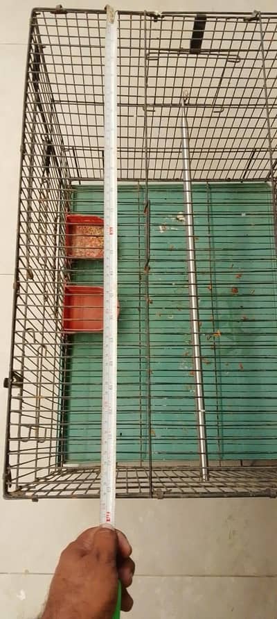 iron cage