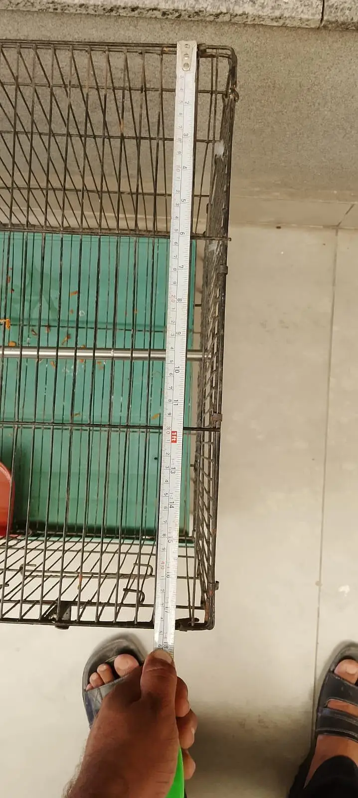 iron cage — photo 2
