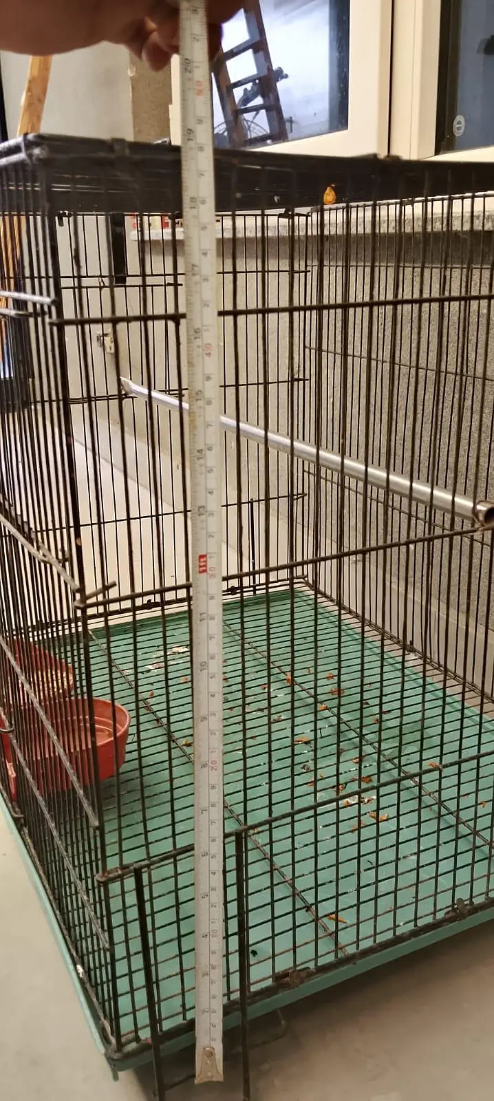 iron cage — photo 3