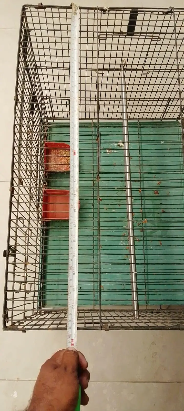 iron cage — photo 4