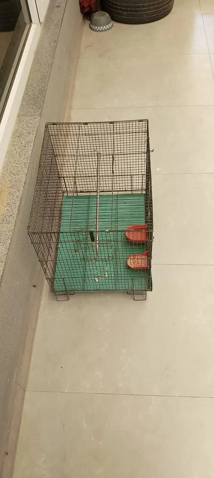 iron cage — photo 5