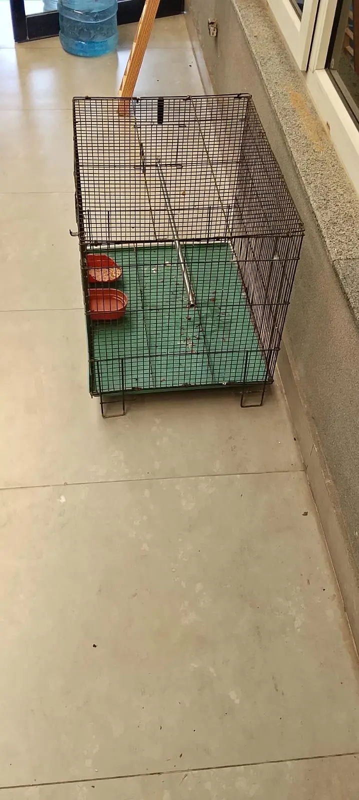 iron cage — photo 6