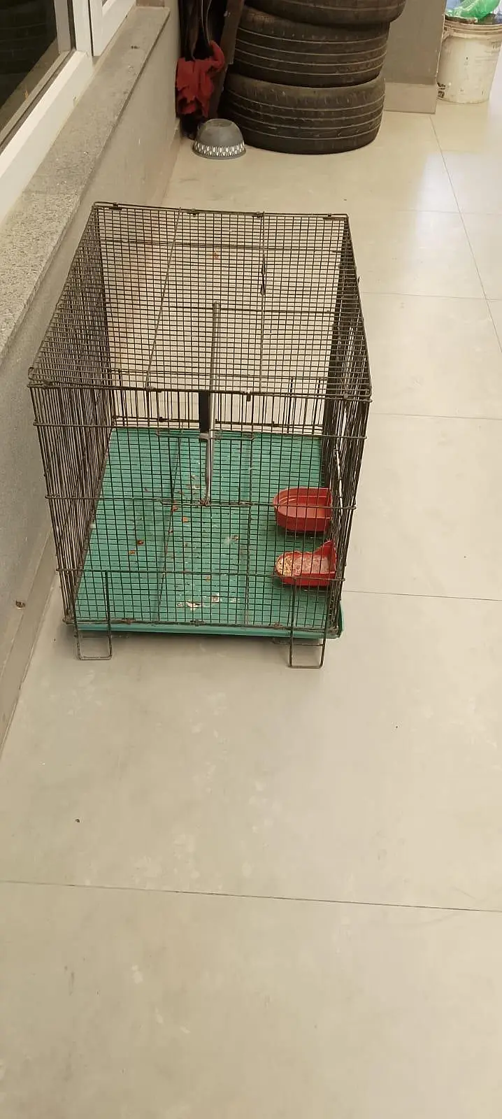 iron cage — photo 8