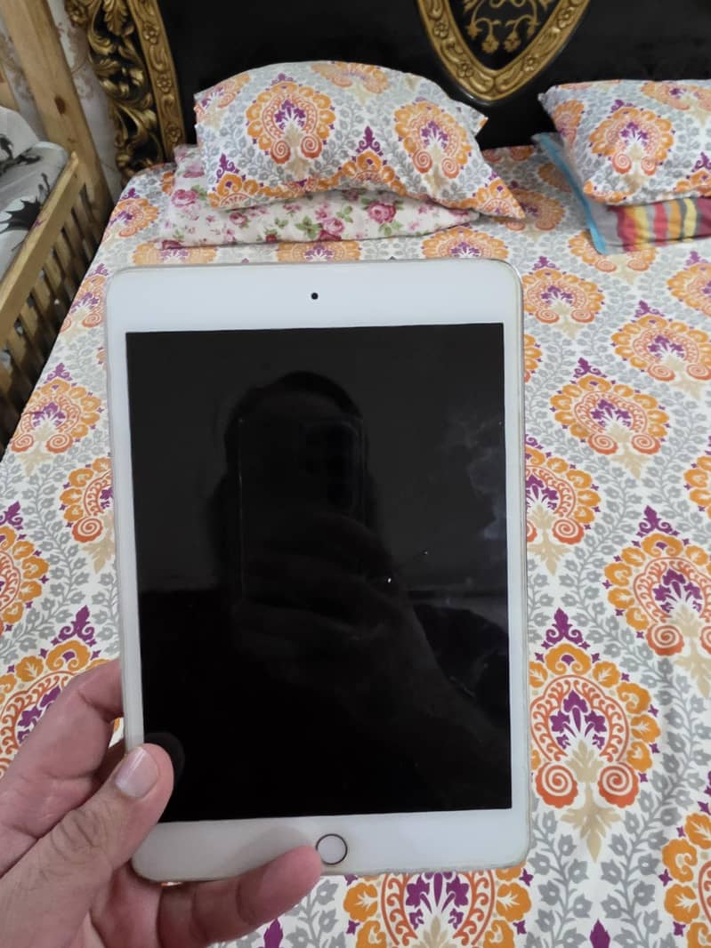 ipad mini 4 1