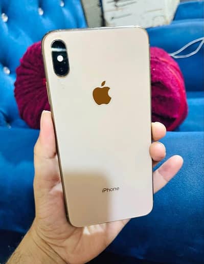 iPhone XS Max Total guanine