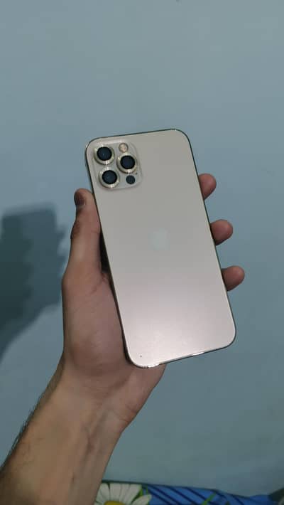 Iphone 12 Pro non pta 128GB Golden