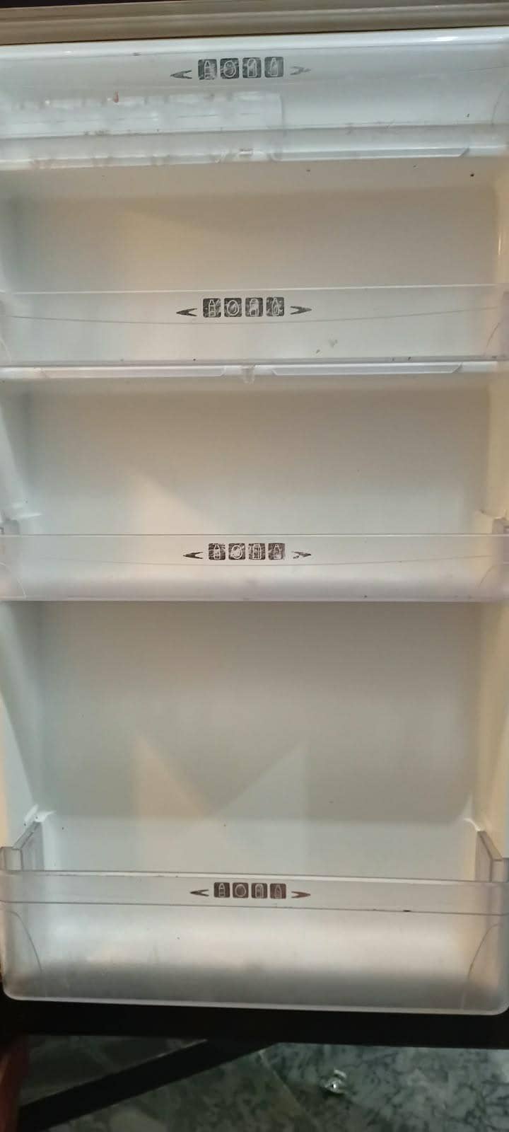 fridg 1
