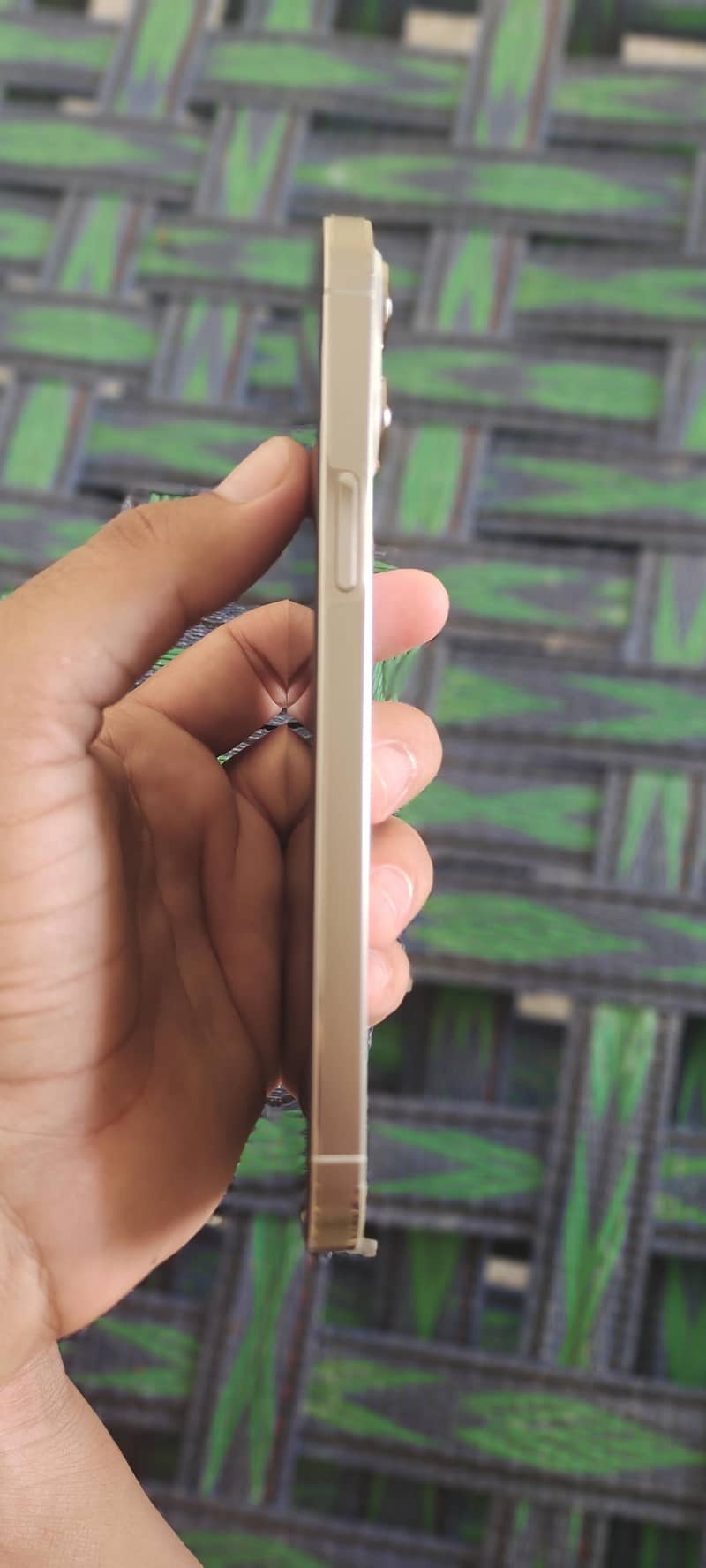 Apple iPhone 13 Pro Max 1