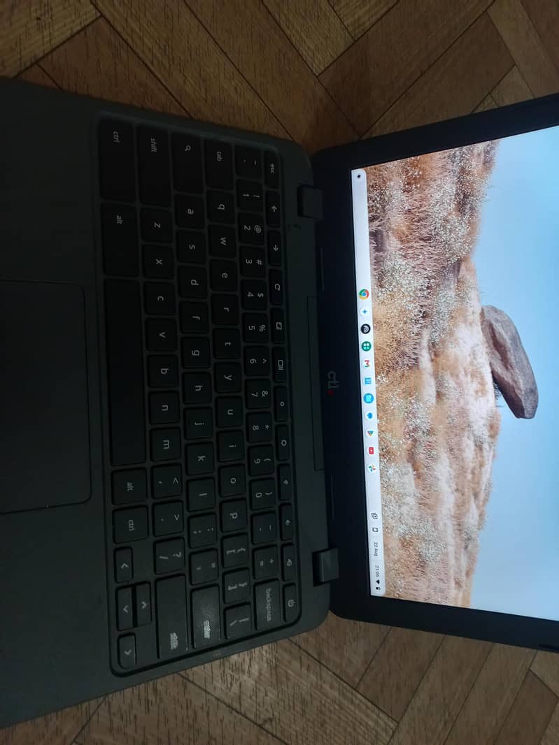 Google ChromeOS 3
