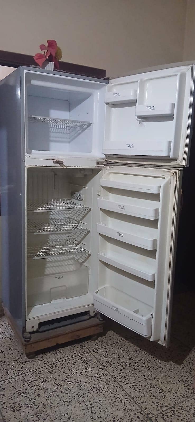 refrigerator 1