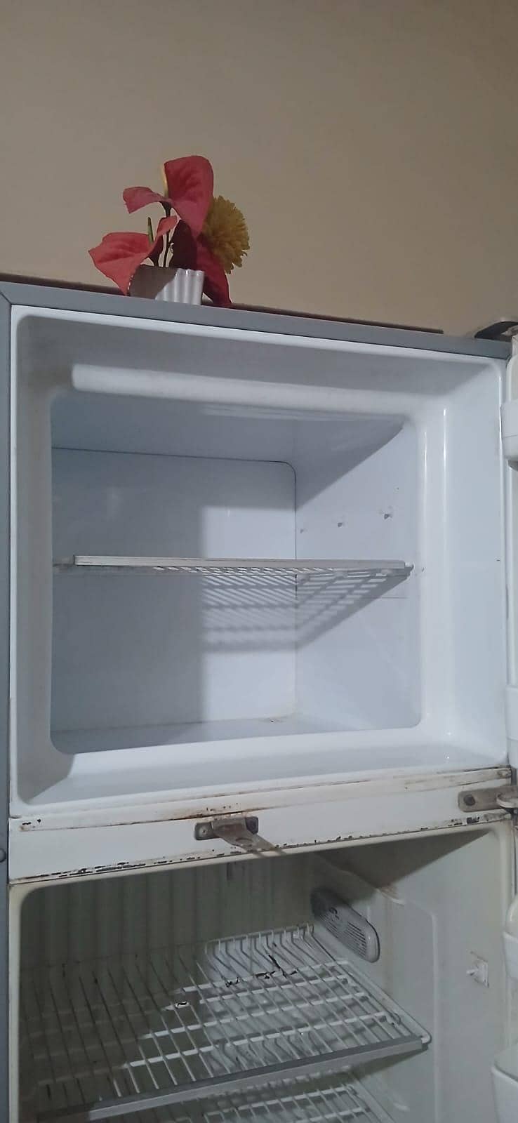 refrigerator 4