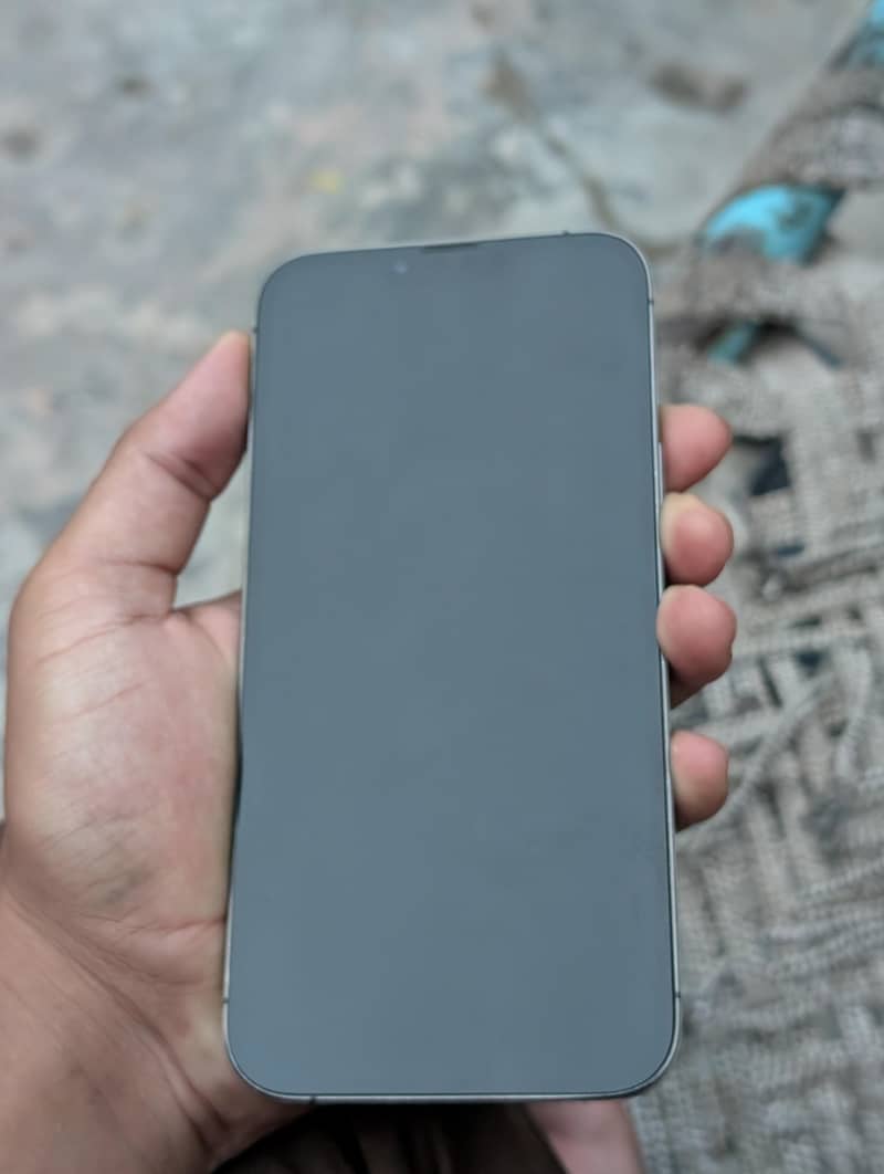 Apple iPhone 13 Pro Max 1