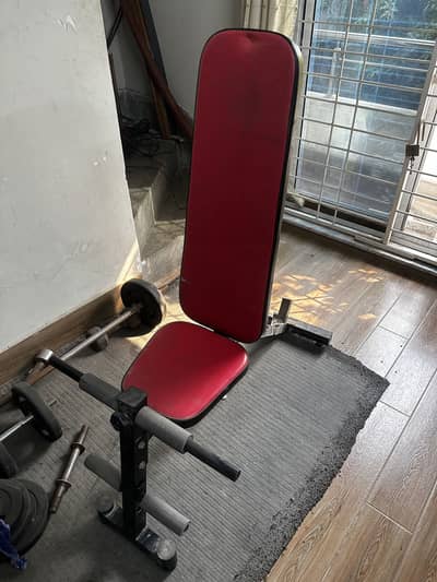 home gym with bench dumbbells barbell and plates